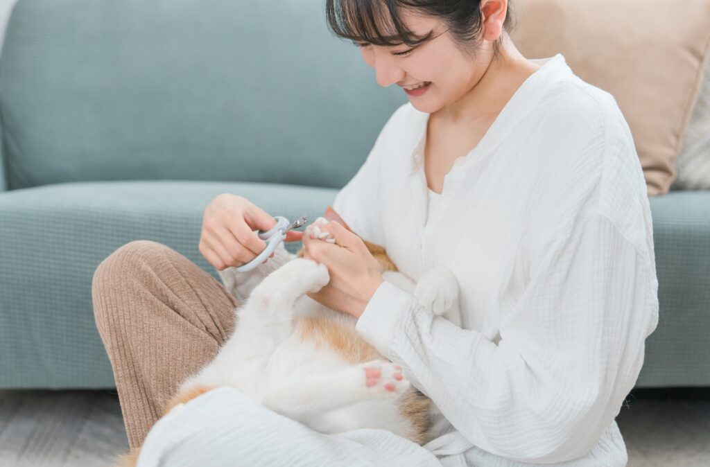 猫　爪切り