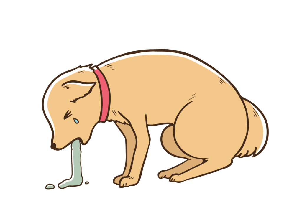犬　嘔吐