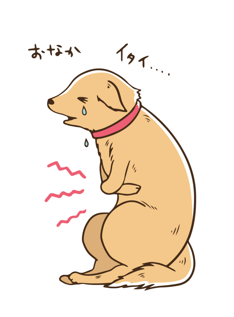 犬　腹痛