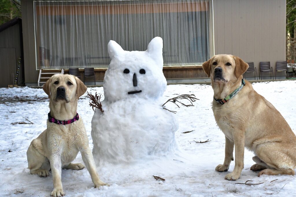 冬　犬　雪だるま