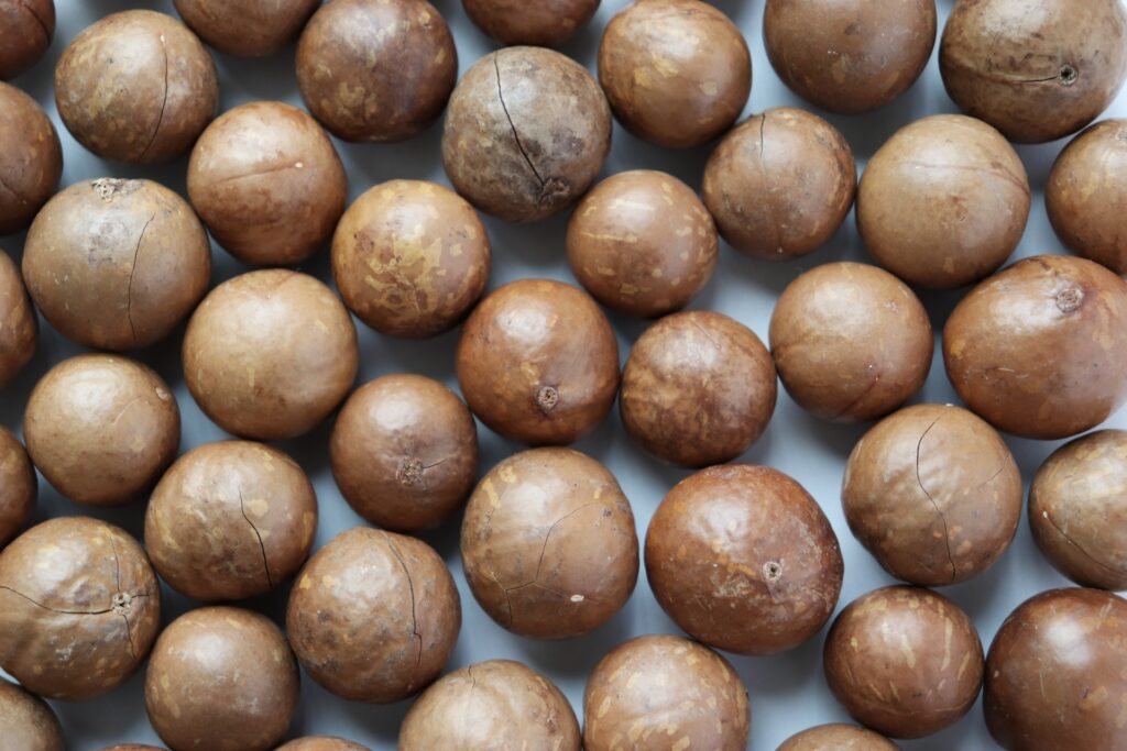 マカダミアナッツ