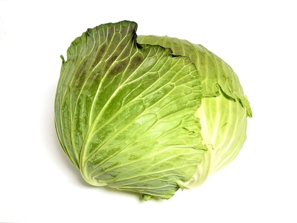 キャベツ