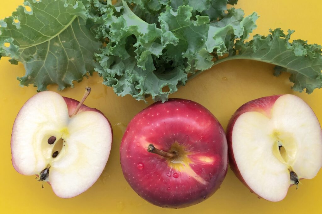 りんご　果物