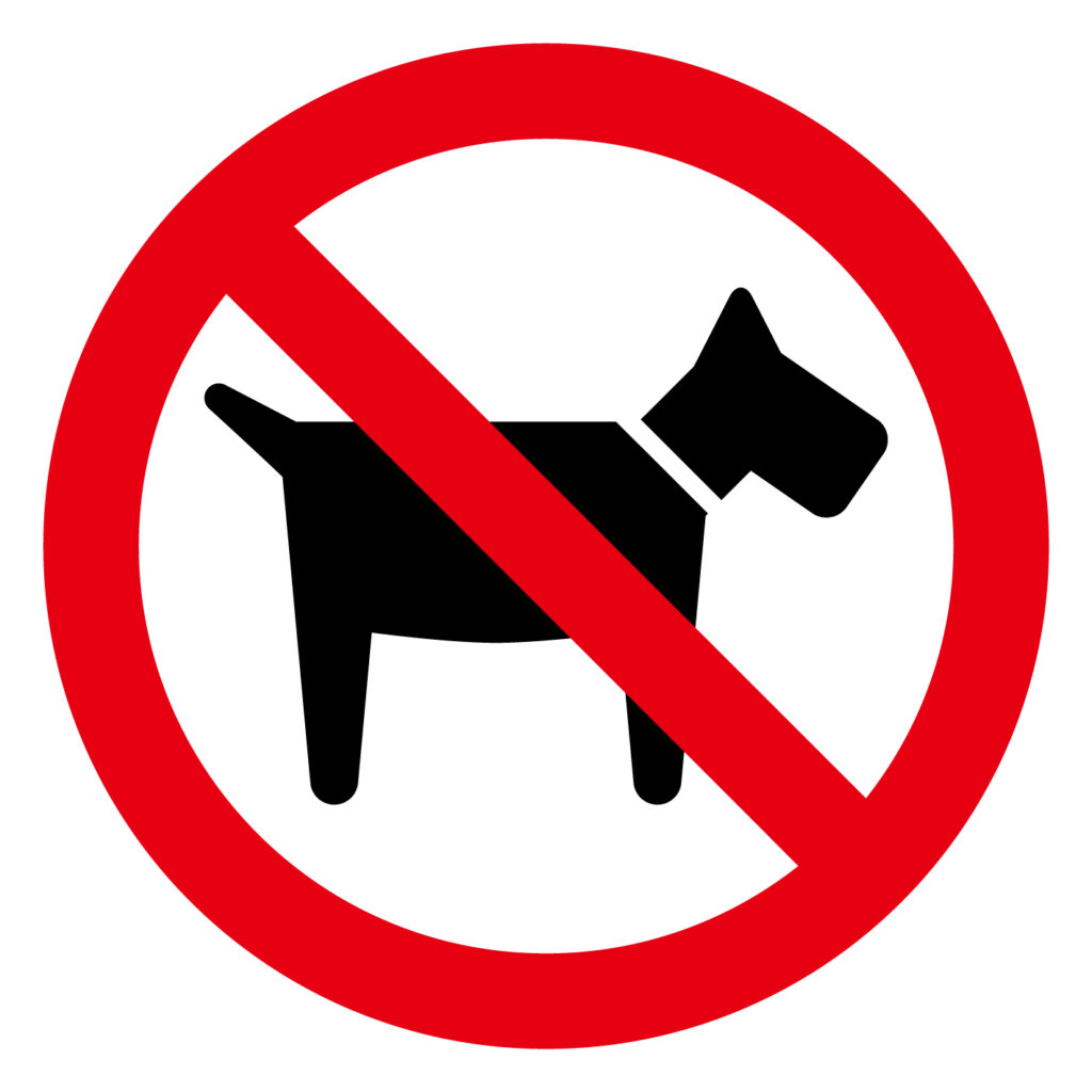 犬　危険