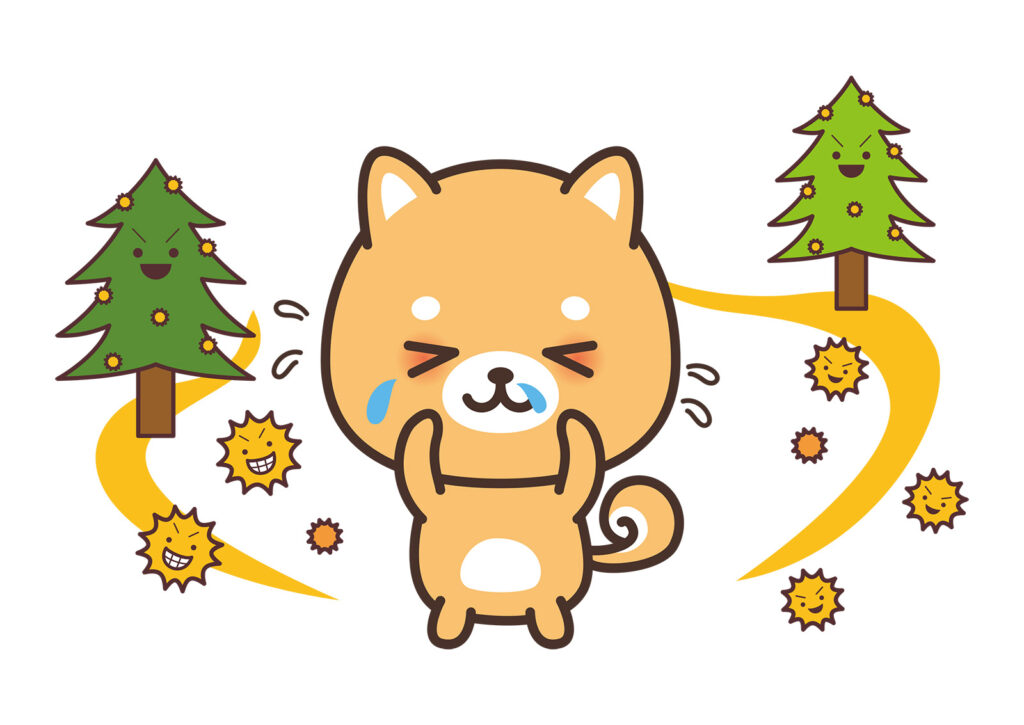 犬　アレルギー