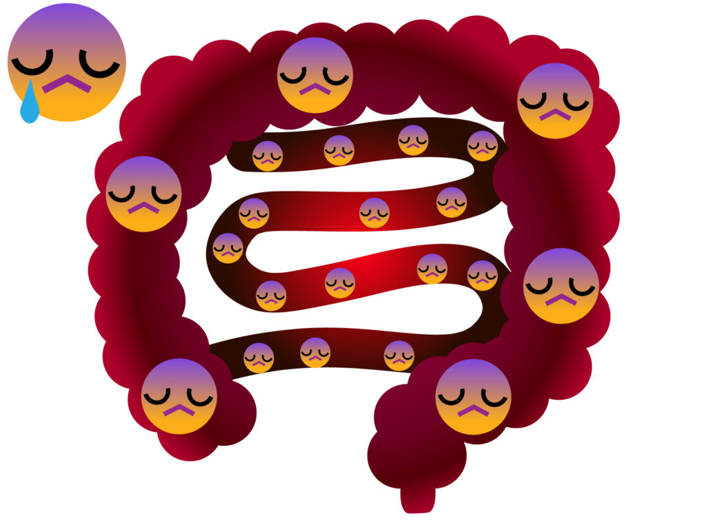 犬 病院 解剖 体