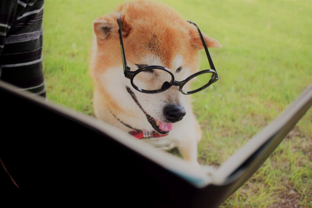 犬 勉強 考える