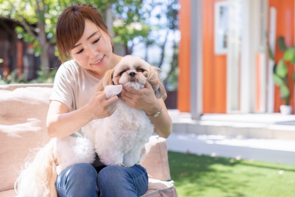 犬 歯磨き ケア