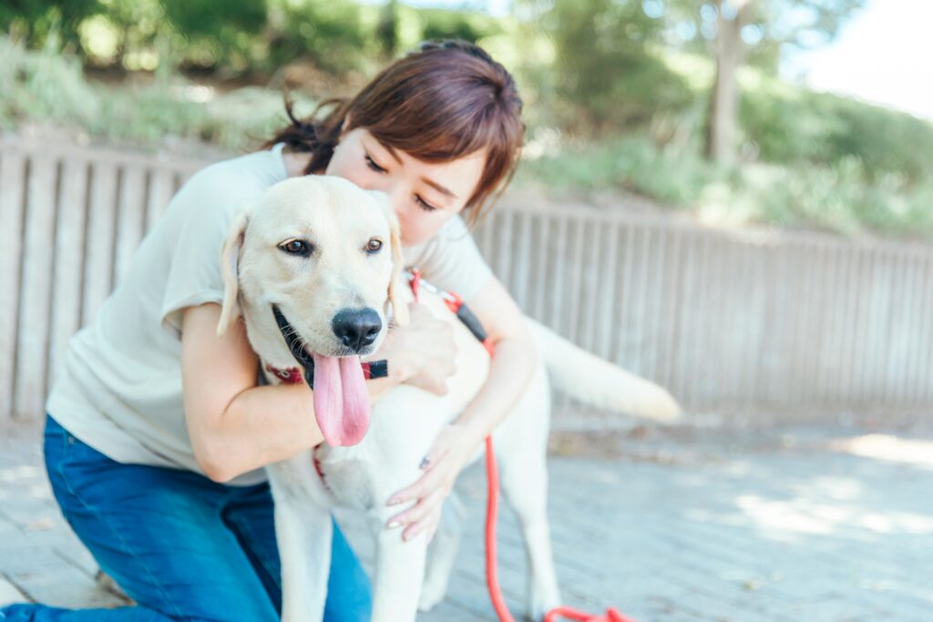 犬 散歩
