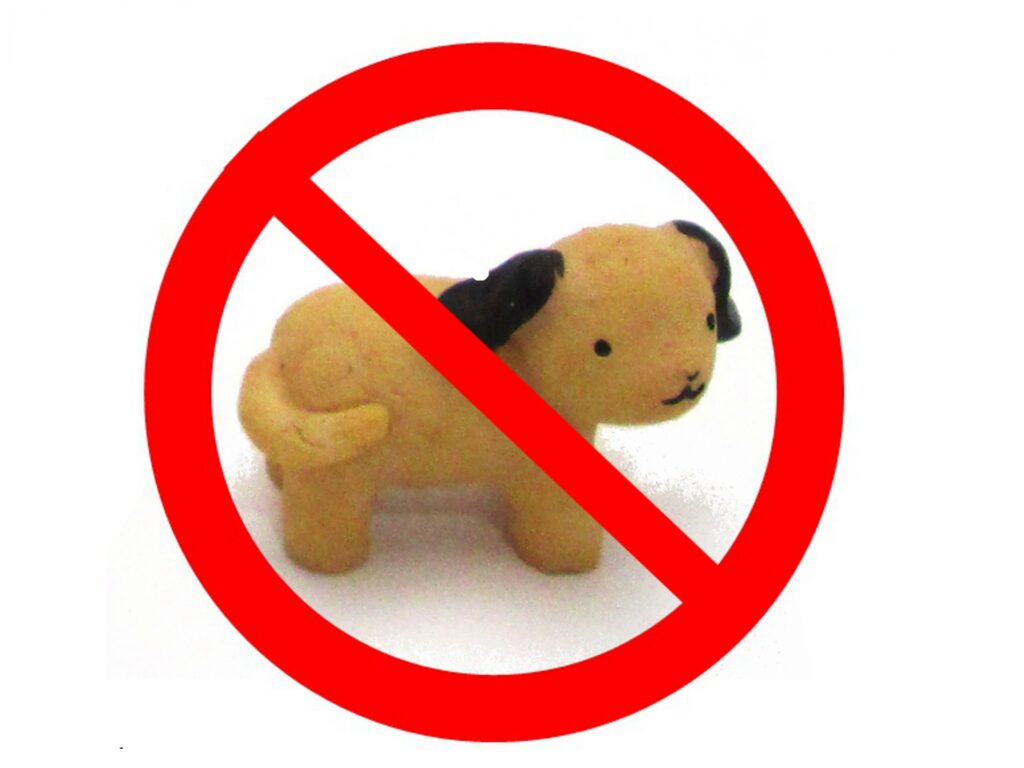 犬 NG