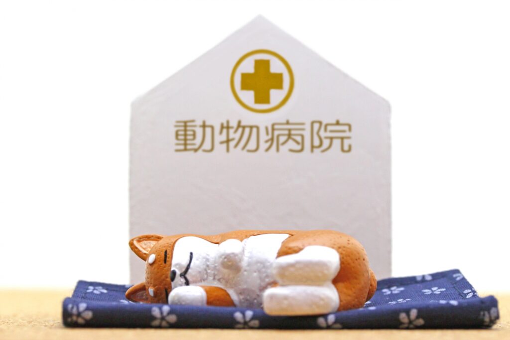 犬　病院