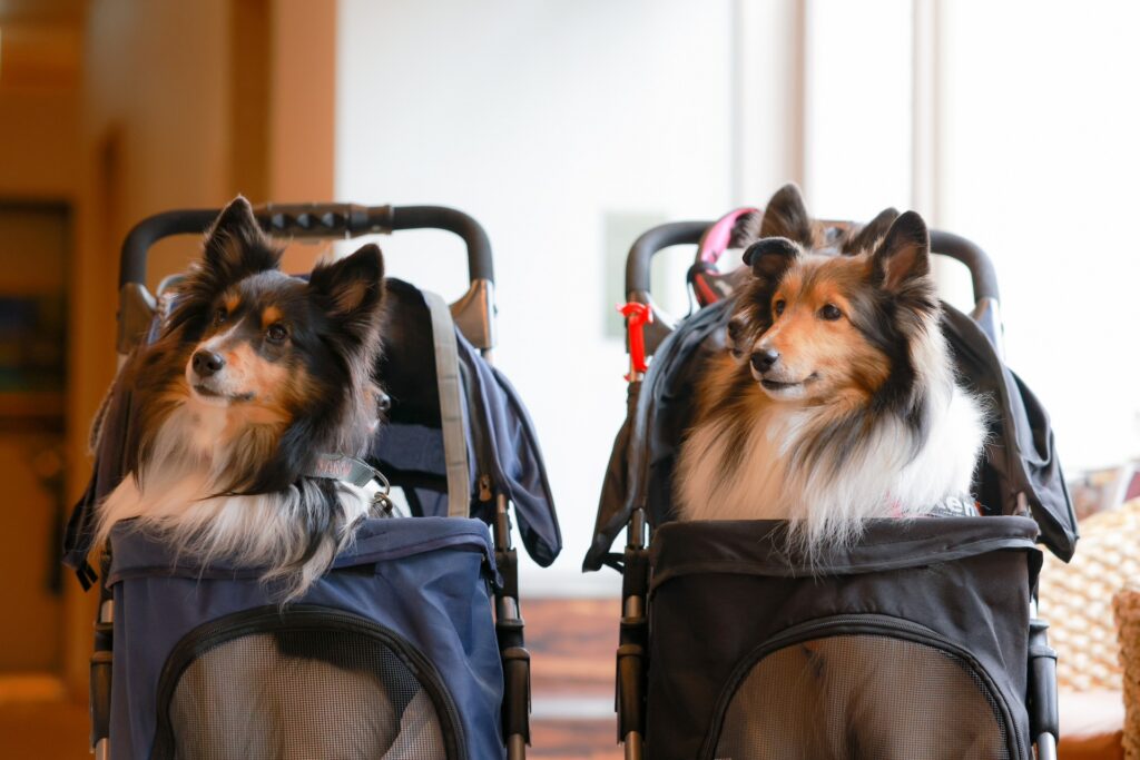 犬 ペットカート