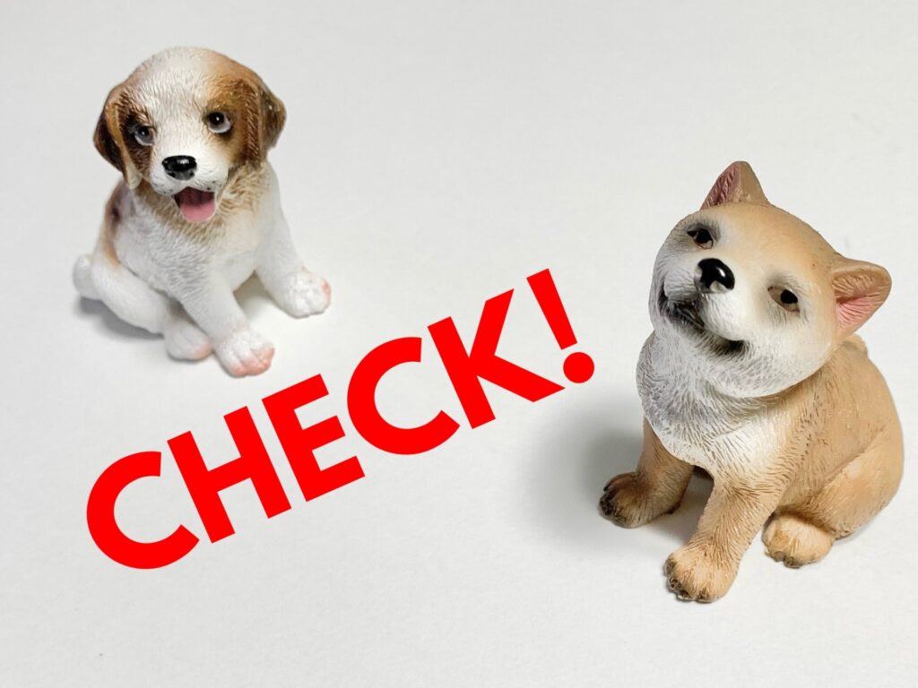 犬 注意 チェック