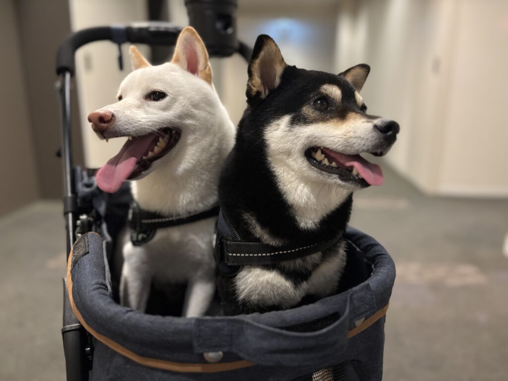 犬 ペットカート