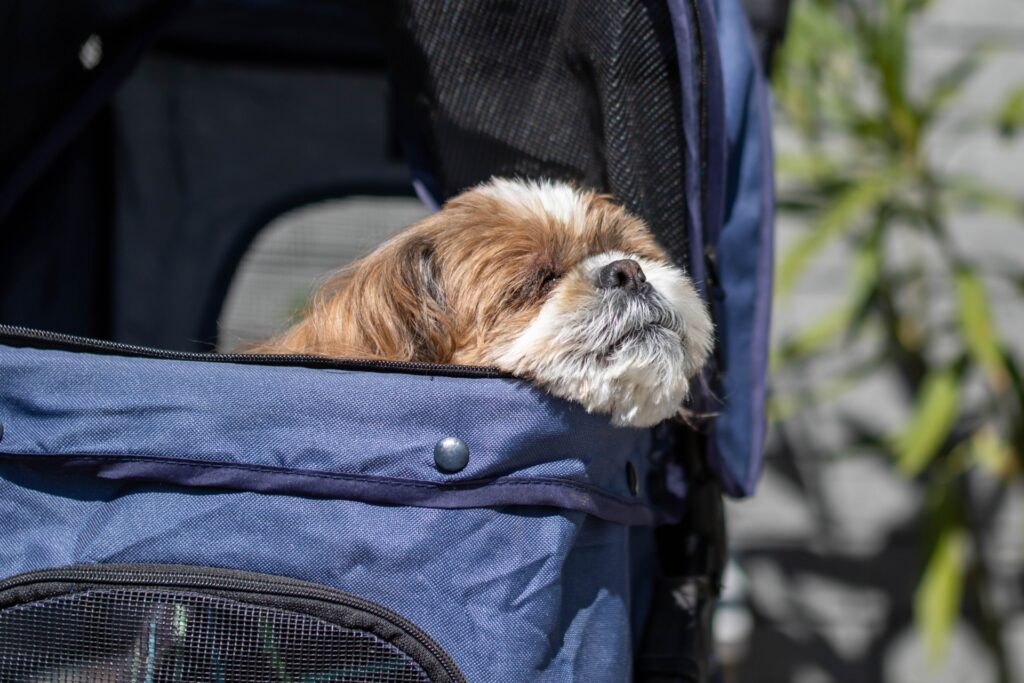 犬 ペットカート