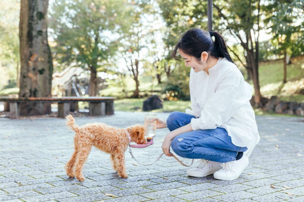犬　水分　給水ボトル