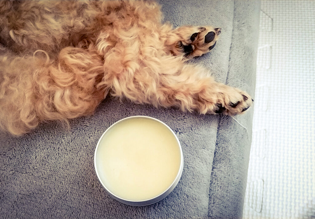 犬 肉球 クリーム