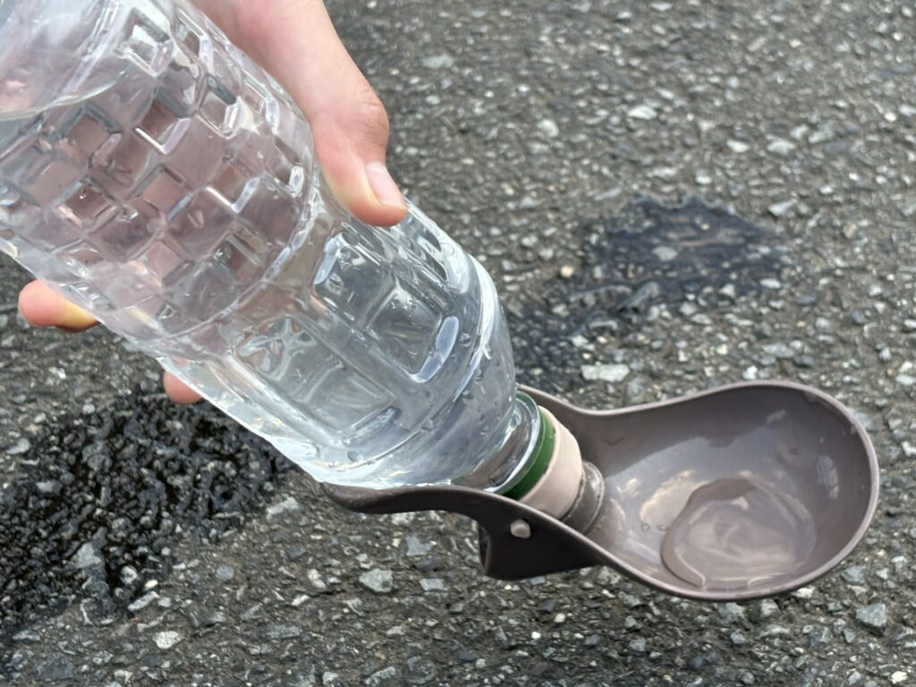散歩　水分