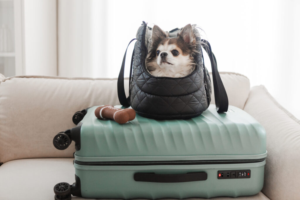 犬 バッグ