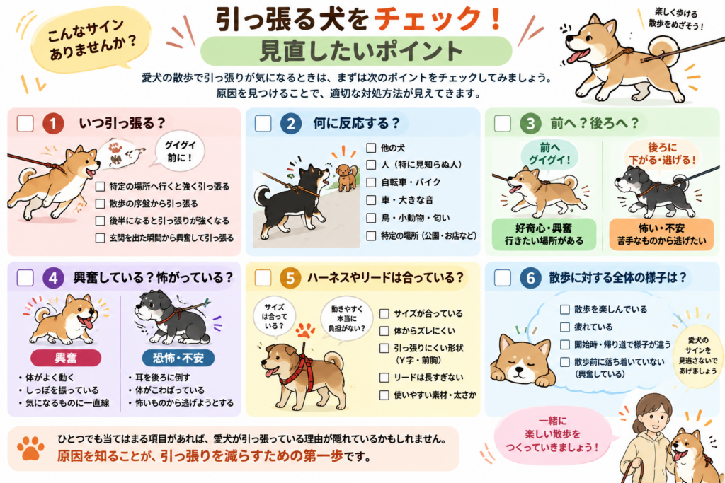 引っ張る犬をチェック