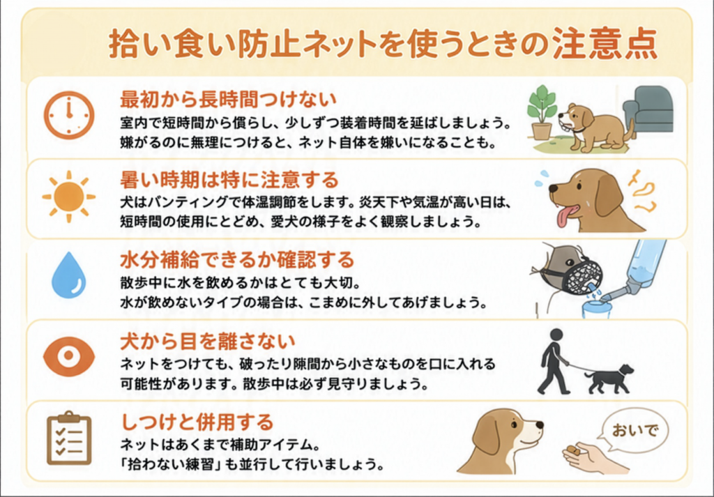 拾い食い防止ネットを使う時の注意点