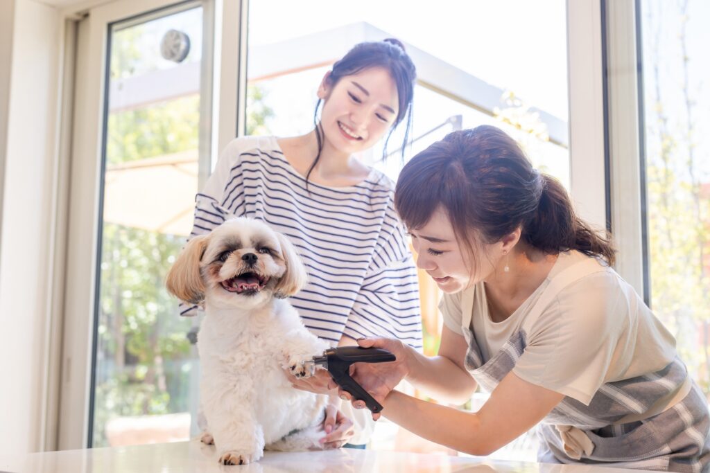 犬　爪切り