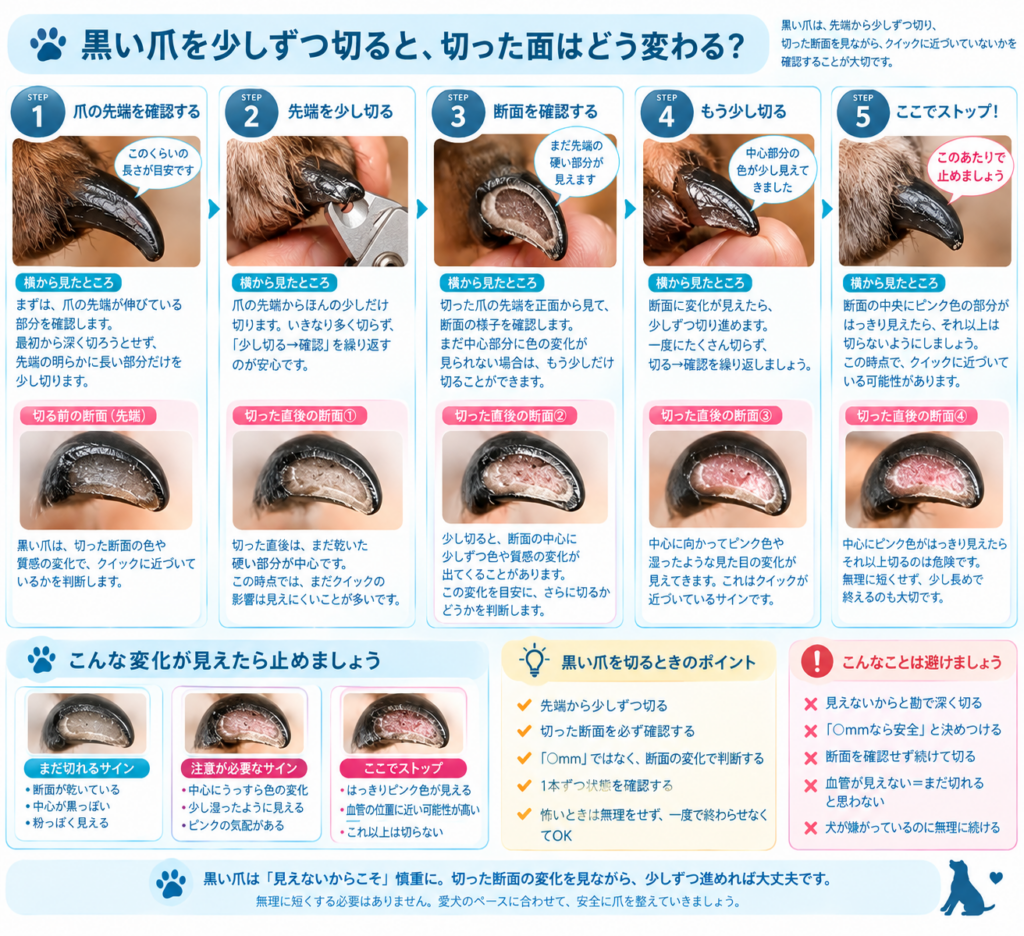 黒い爪の切り方