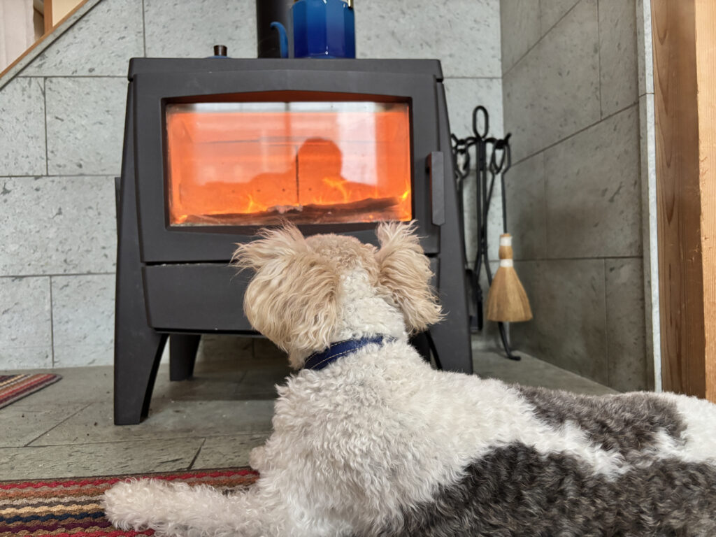 犬 暖房 ストーブ