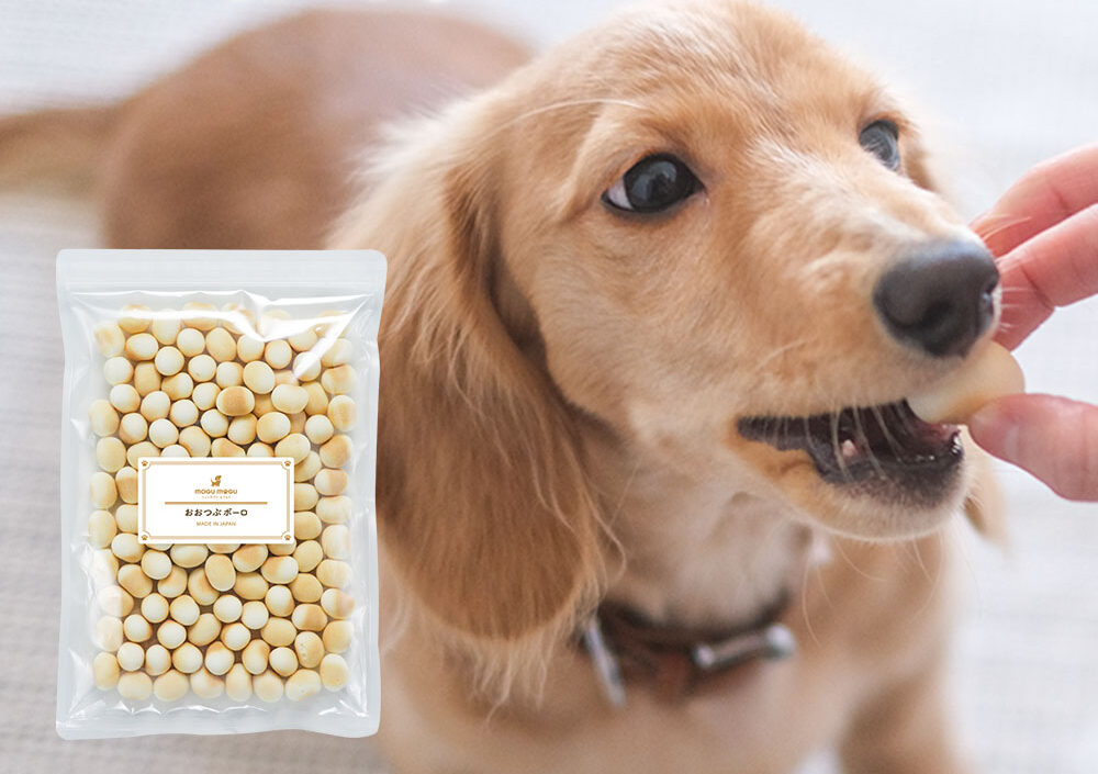 ご褒美おやつの大粒ボーロ